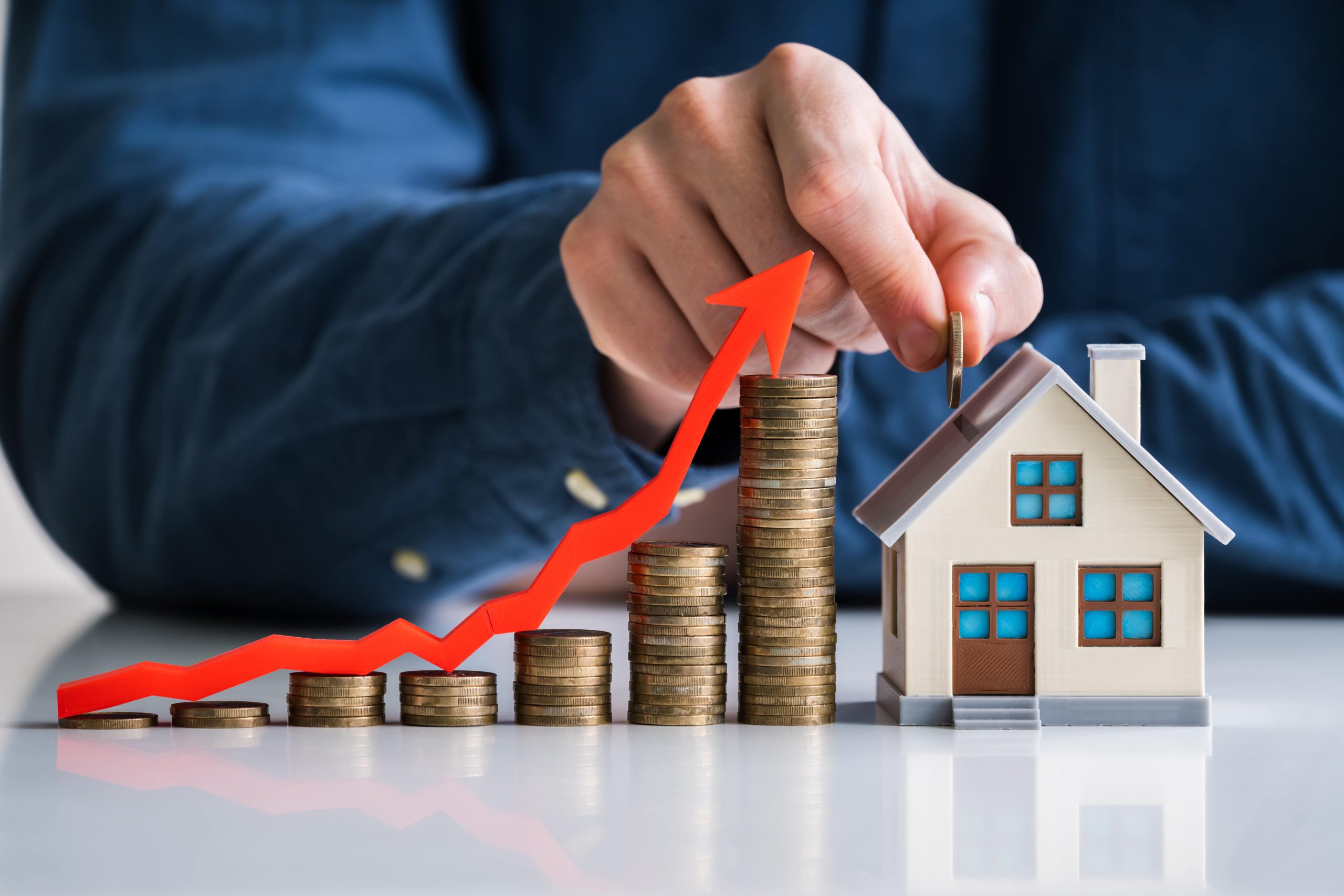 Increase your profit from investment property