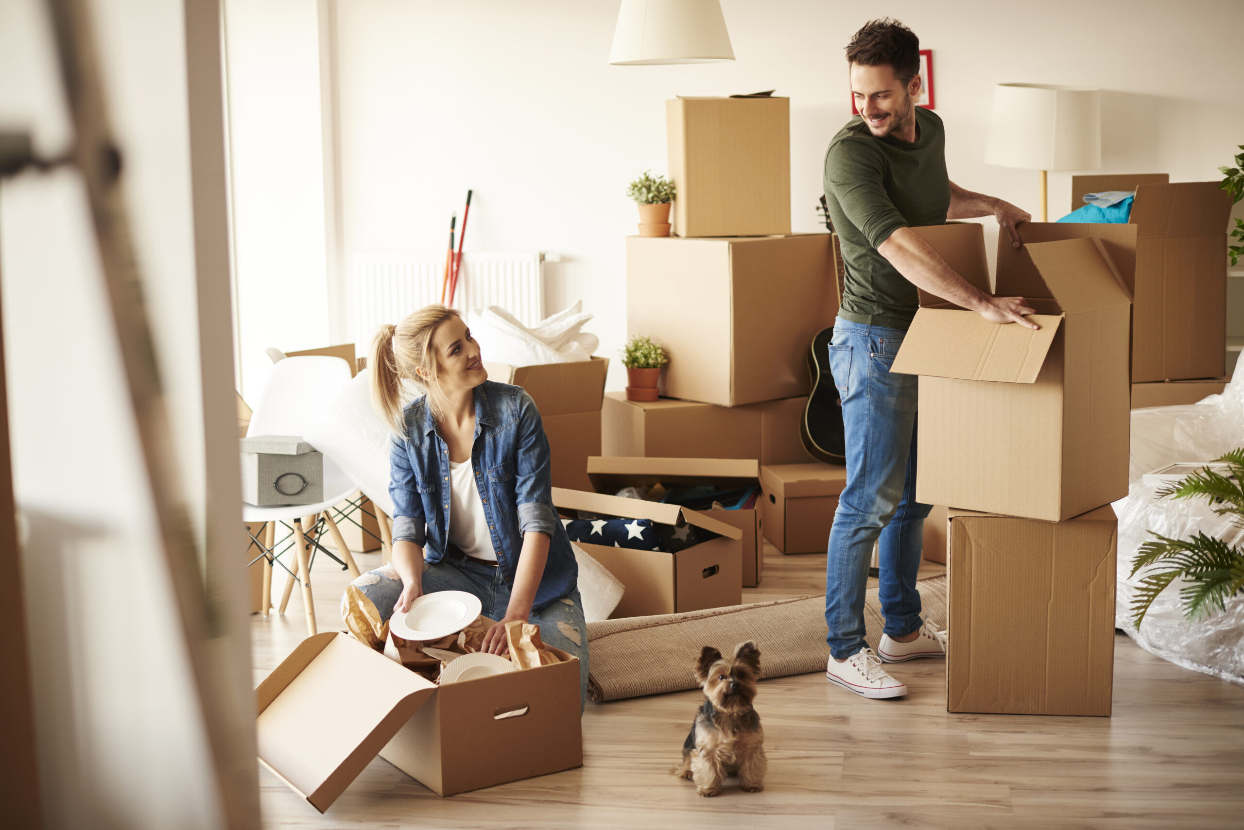 Preparing for a Seamless Household Move Across States